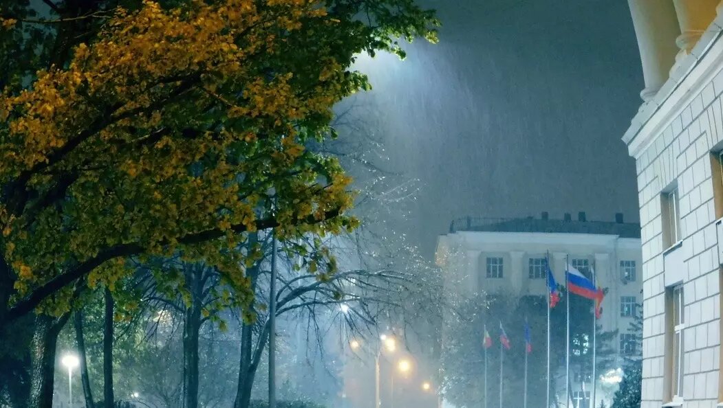     Источник: 1MI