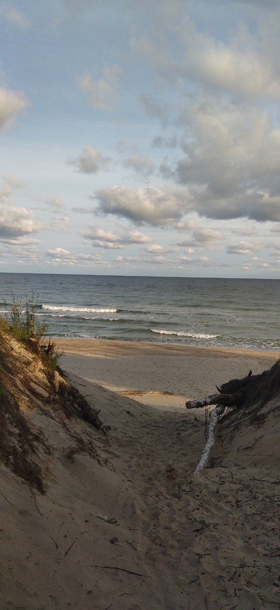 Ну и что, что 25 августа? Я и в октябре могу! 