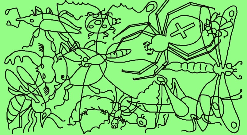  Найди всех насекомых