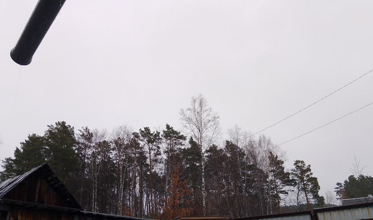 Осенний лес виднеется из нашего двора