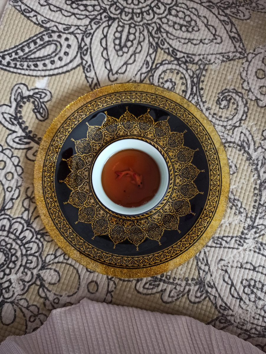 Чаепитие на йоге, Витебск