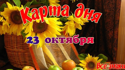 Карта дня🍁 23 октября🌞 Пасьянс. Тайм-код в описании🦢