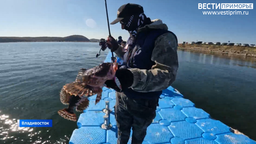    Источник фото: