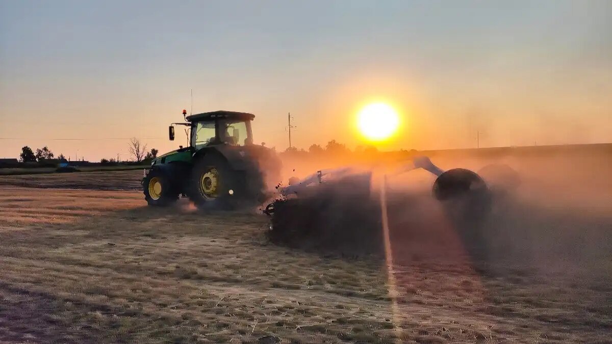 Фото:© Артем Борисов / Glavagronom.ru Россельхознадзор зафиксировал более 7,4 тыс. незарегистрированных контрагентов во ФГИС Сатурн