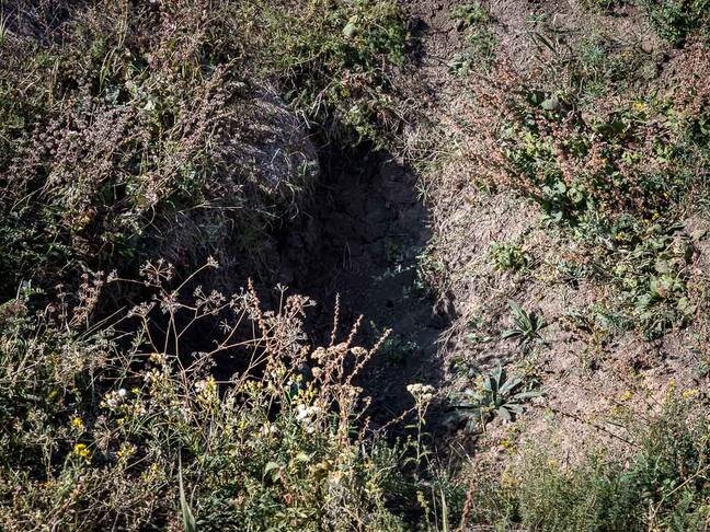 Фото: Павел Колядин