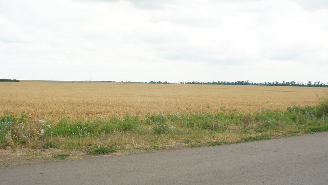    Фото: Царьград Ростов