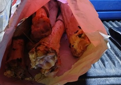    Мясо лося пытались вывезти через Оренбуржье в Казахстан Белов Михаил Александрович