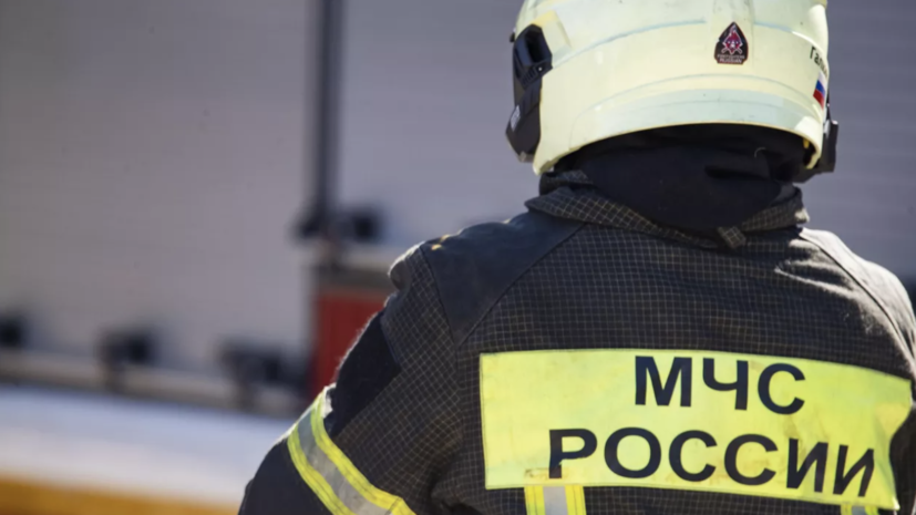    РИА Новости / Дмитрий Макеев