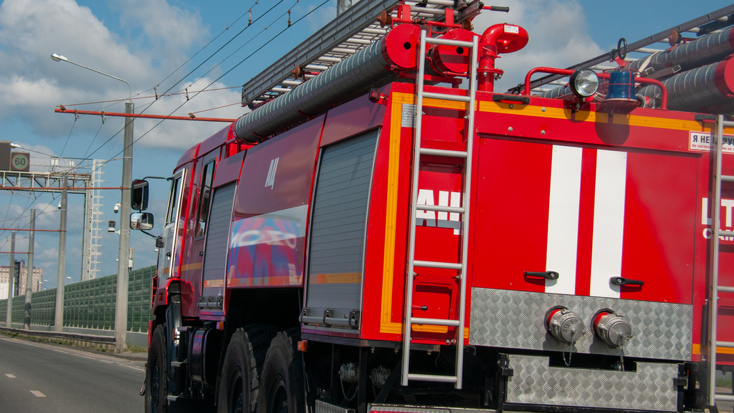    Фото: Svetlana Vozmilova/Globallookpress