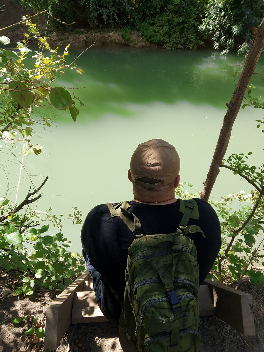 Фото у канала протекающего через лес