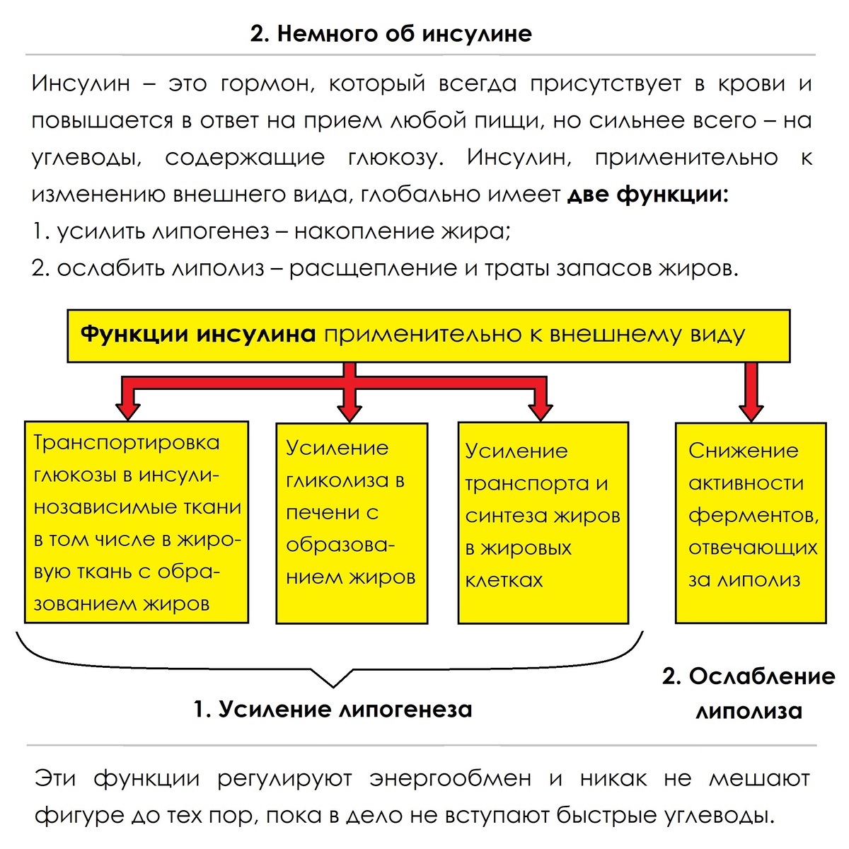 Теория действия инсулина и быстрых углеводов на липогенез и липолиз из поста по ссылке выше