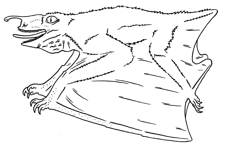 Ночной дозорный. Худ. Тим Моррис.