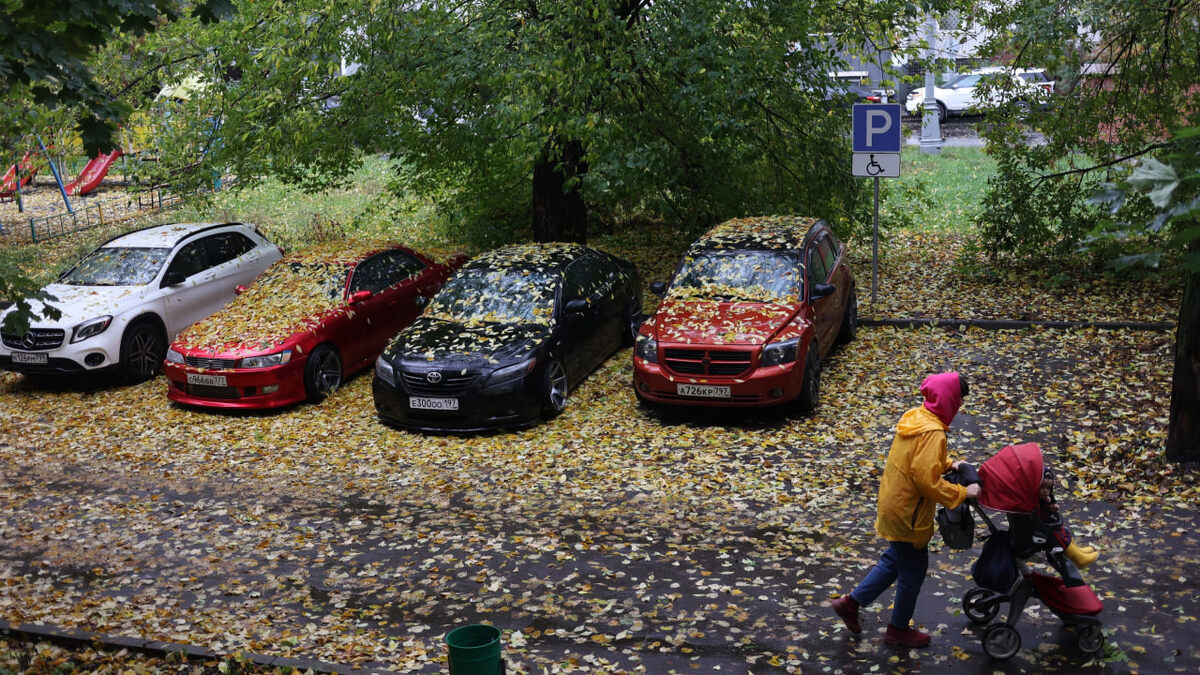    Источник: Анвар Галеев/ТАСС