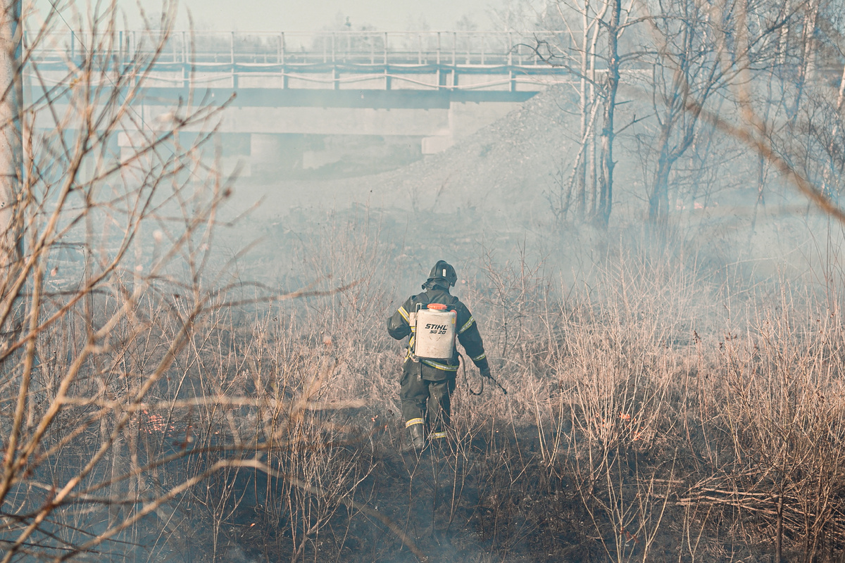 Палы вокруг города