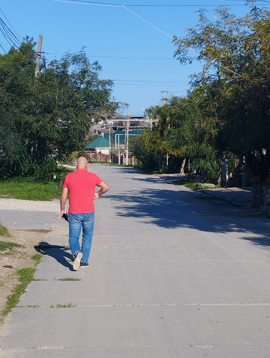 Ранним утром. Сегодня. Фото автора канала