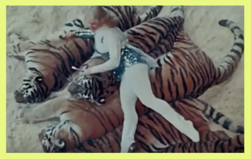 Тот самый финальный кадр