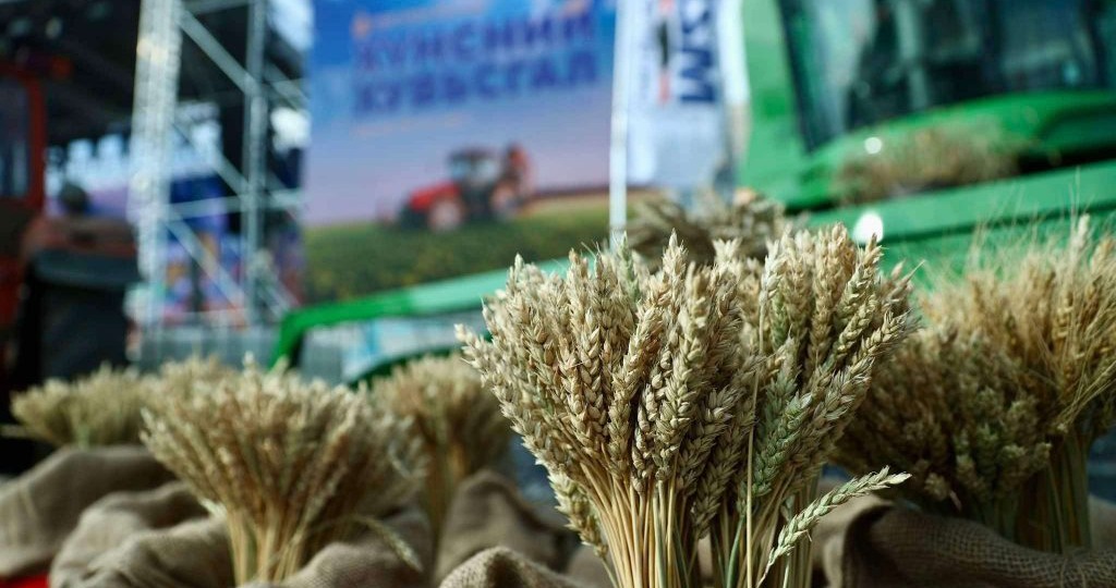 Алтан намар 2024