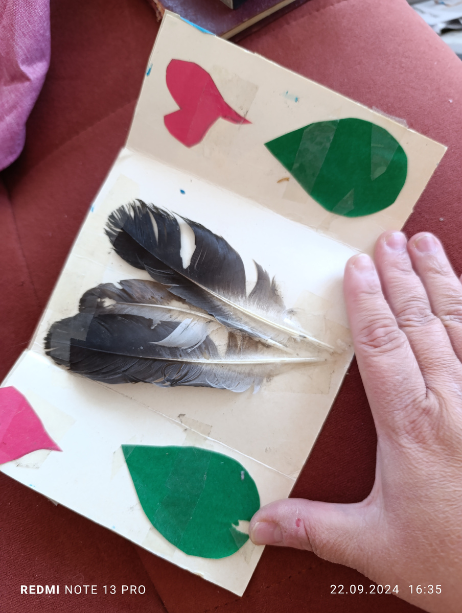 Современные художества среднего я выкладывала, а это старенькое. В отличие от солнышка сделано не в саду, а самостоятельно, дома. Перья тоже откуда-то сам притащил.