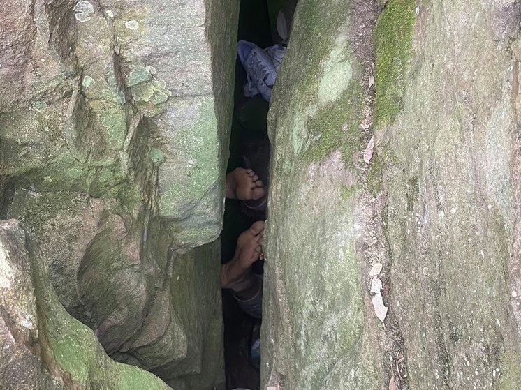     Источник: NSW Ambulance