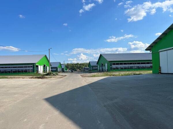 Животноводческий комплекс из металлоконструкций 