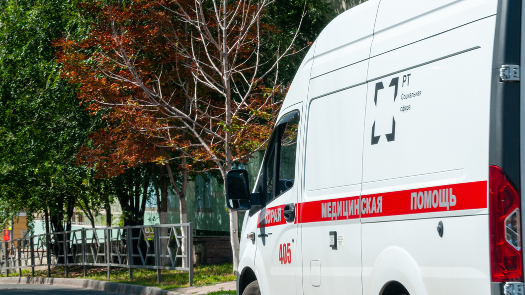    Фото: Svetlana Vozmilova/Globallookpress