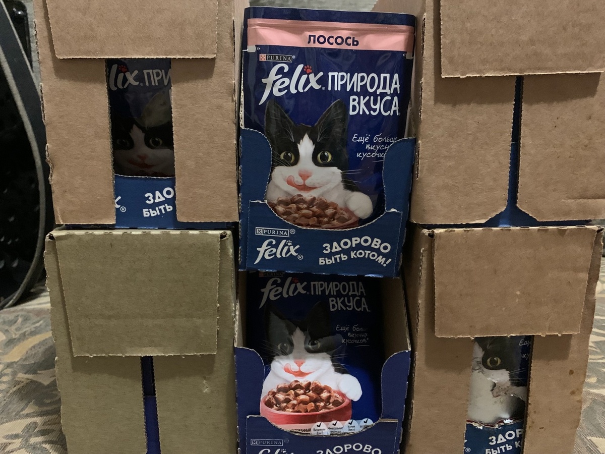Жизненно важный запас кормов для уличных кошек