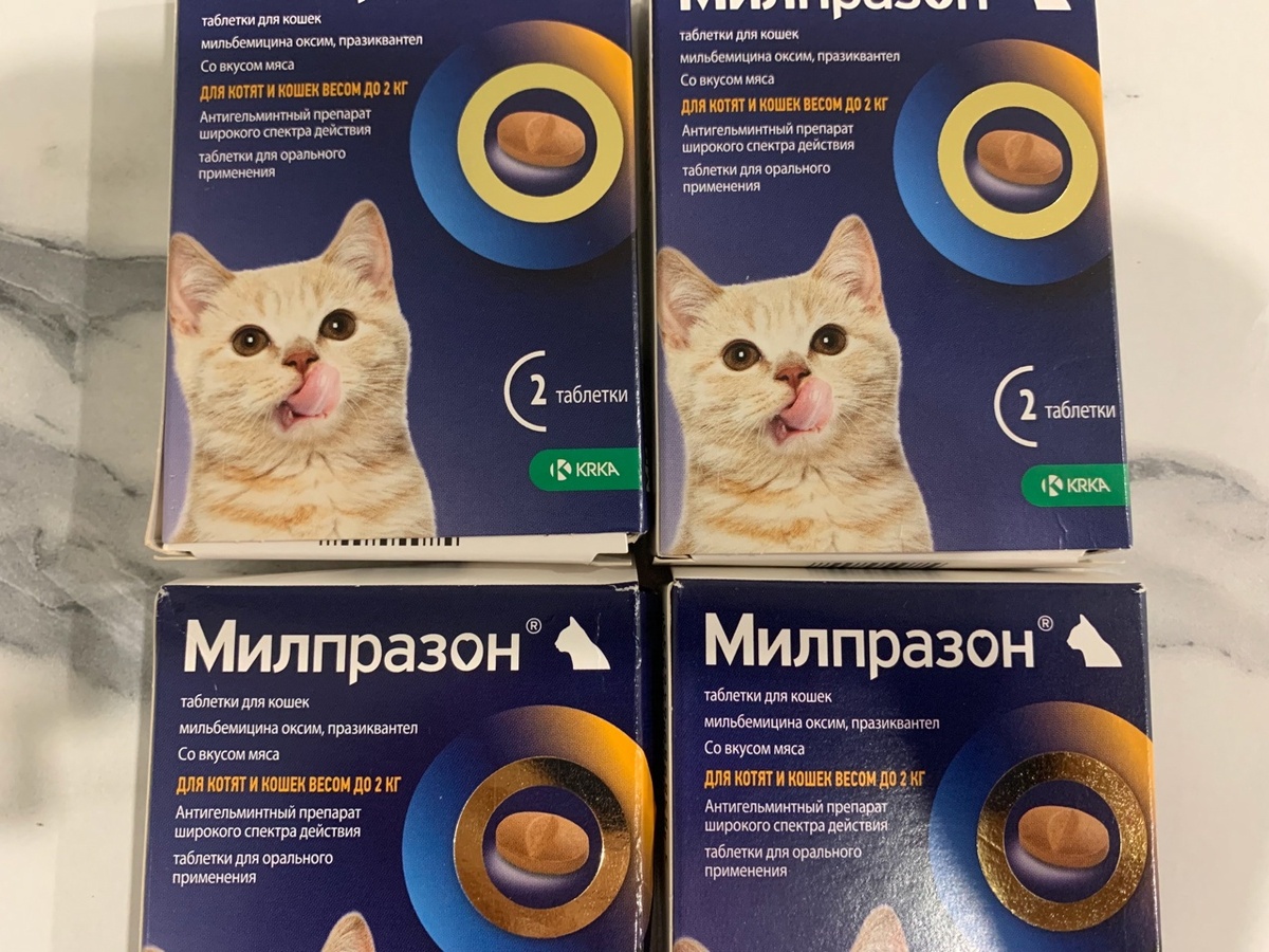 Таблетки, которые помогают поправить здоровье спасённым животным