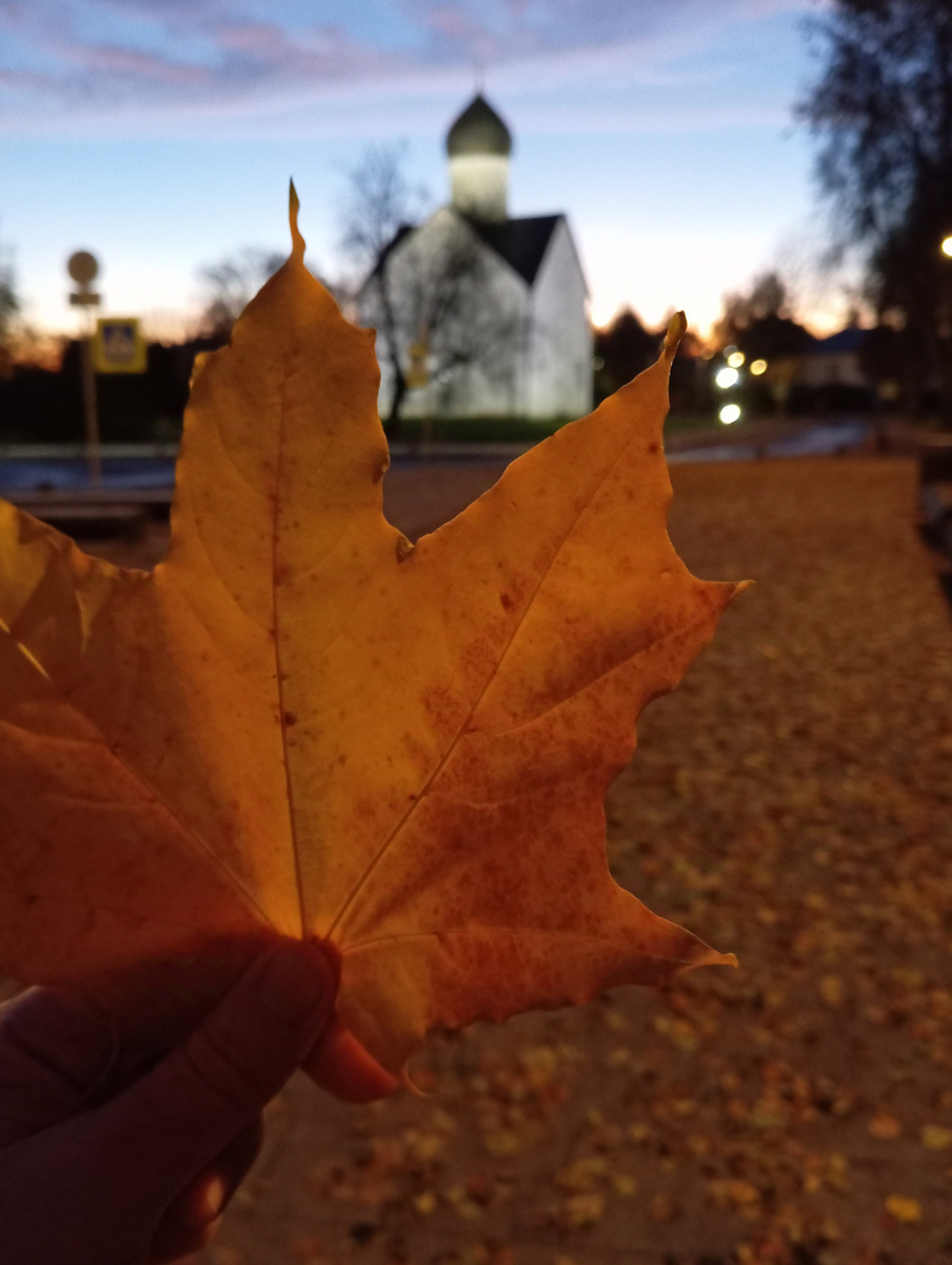 Вчера по дороге на работу. 