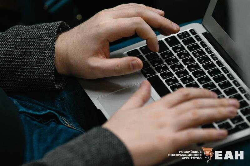    Фото: ЕАН. Закупки российского ПО в регионе выросли в 1,75 раза