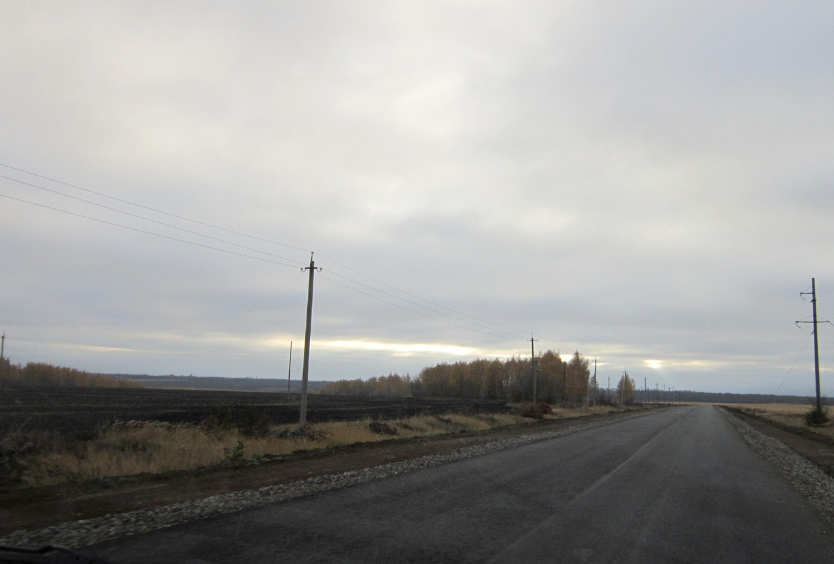 Фото автора.