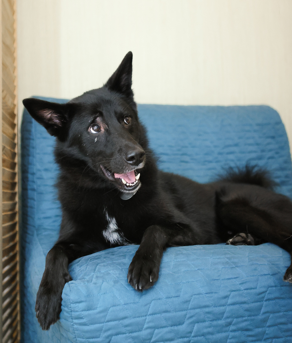 Скорее заберите меня домой, эти девчата меня уже совсем измучали 