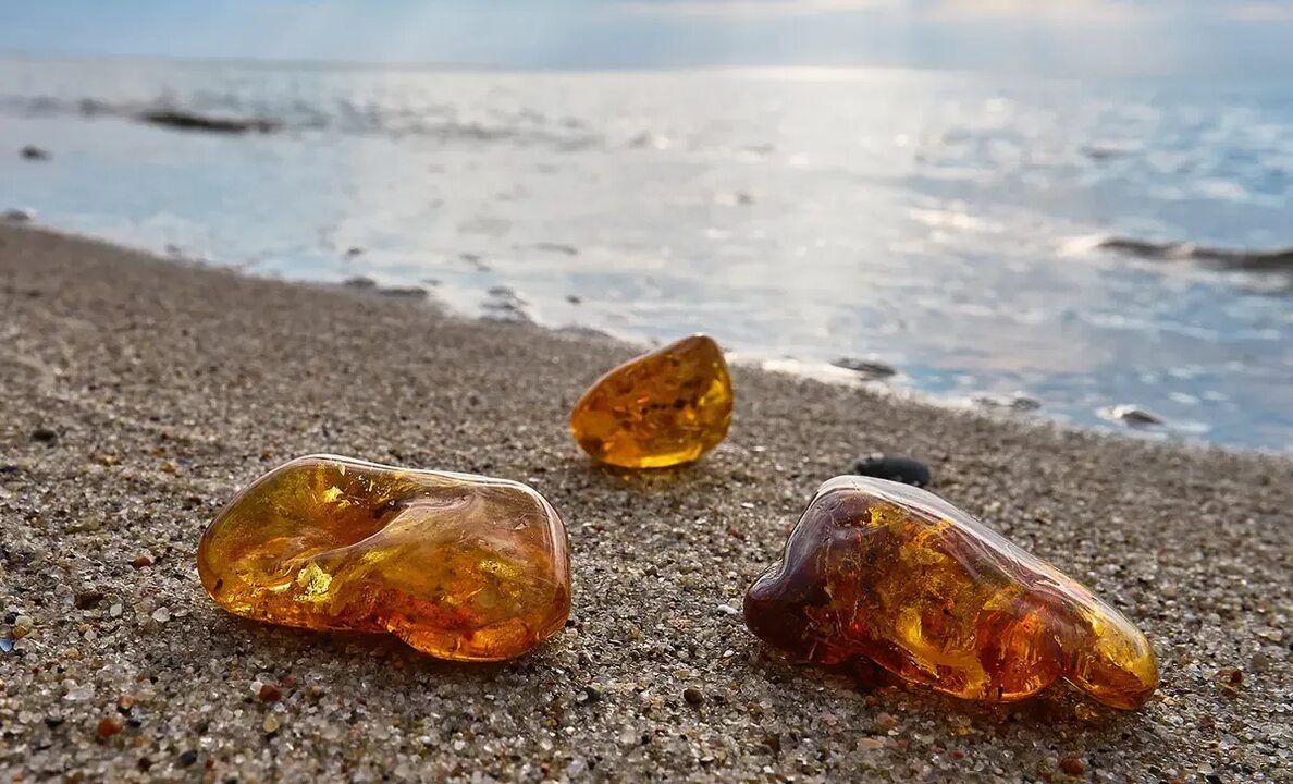 Фото из интернета 