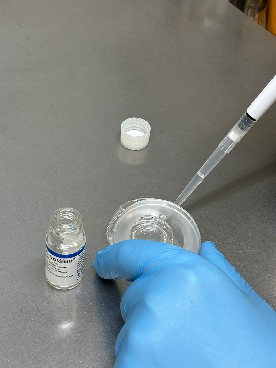 Эмбриоклей