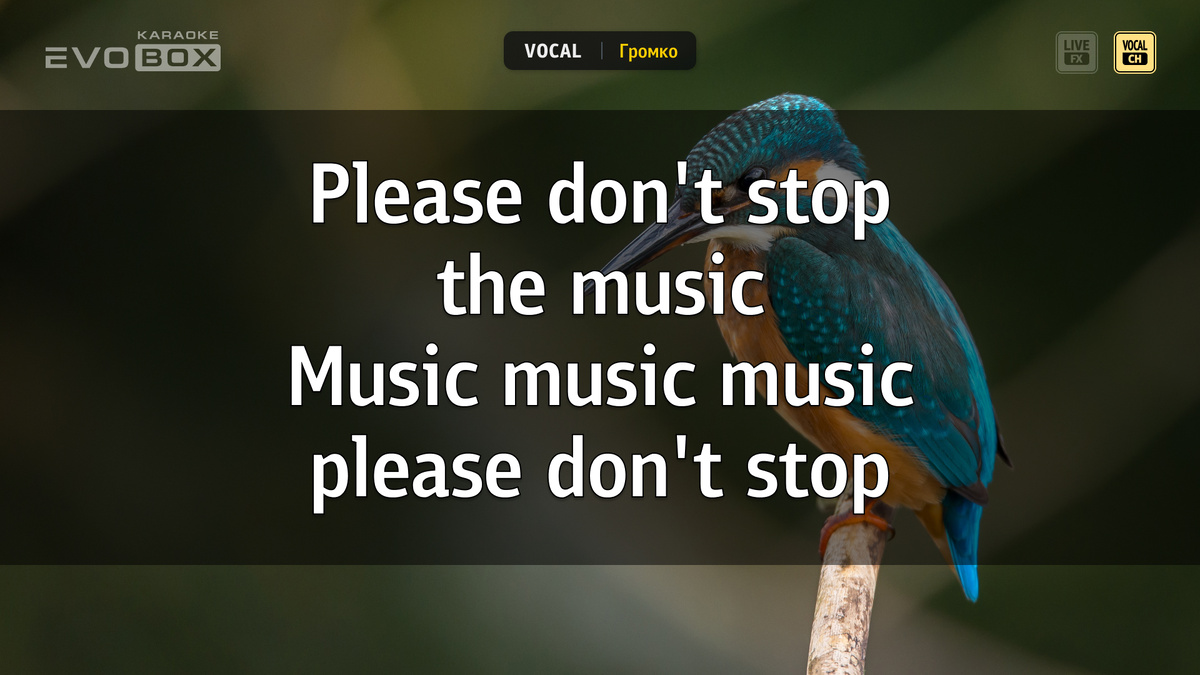 Пойте дуэтом с любимым артистом, с функцией Vocal в EVOBOX! 