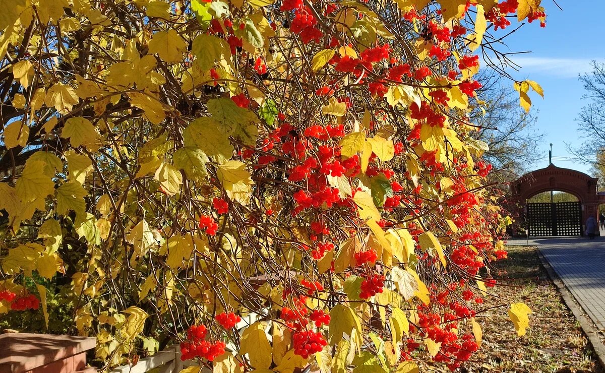    ТОП-5 самых популярных экскурсионных направлений осени в России и цены на туры