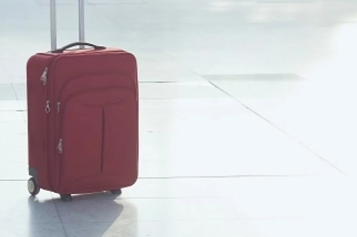    В Омской области на границе с Казахстаном изъяли чемодан с бараниной и корм