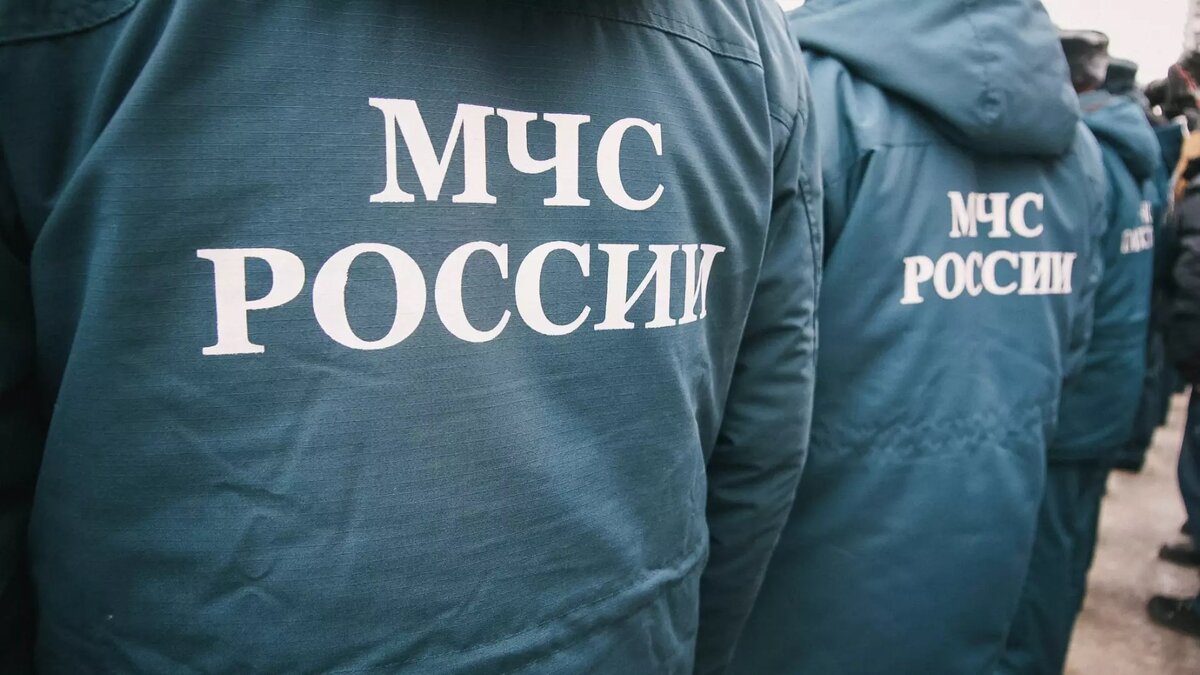     Источник: 1MI