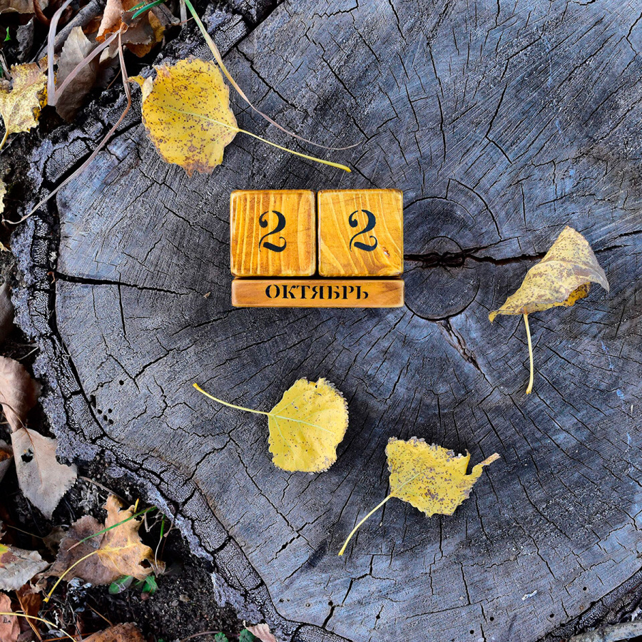     А что у нас в календаре? 22 октября