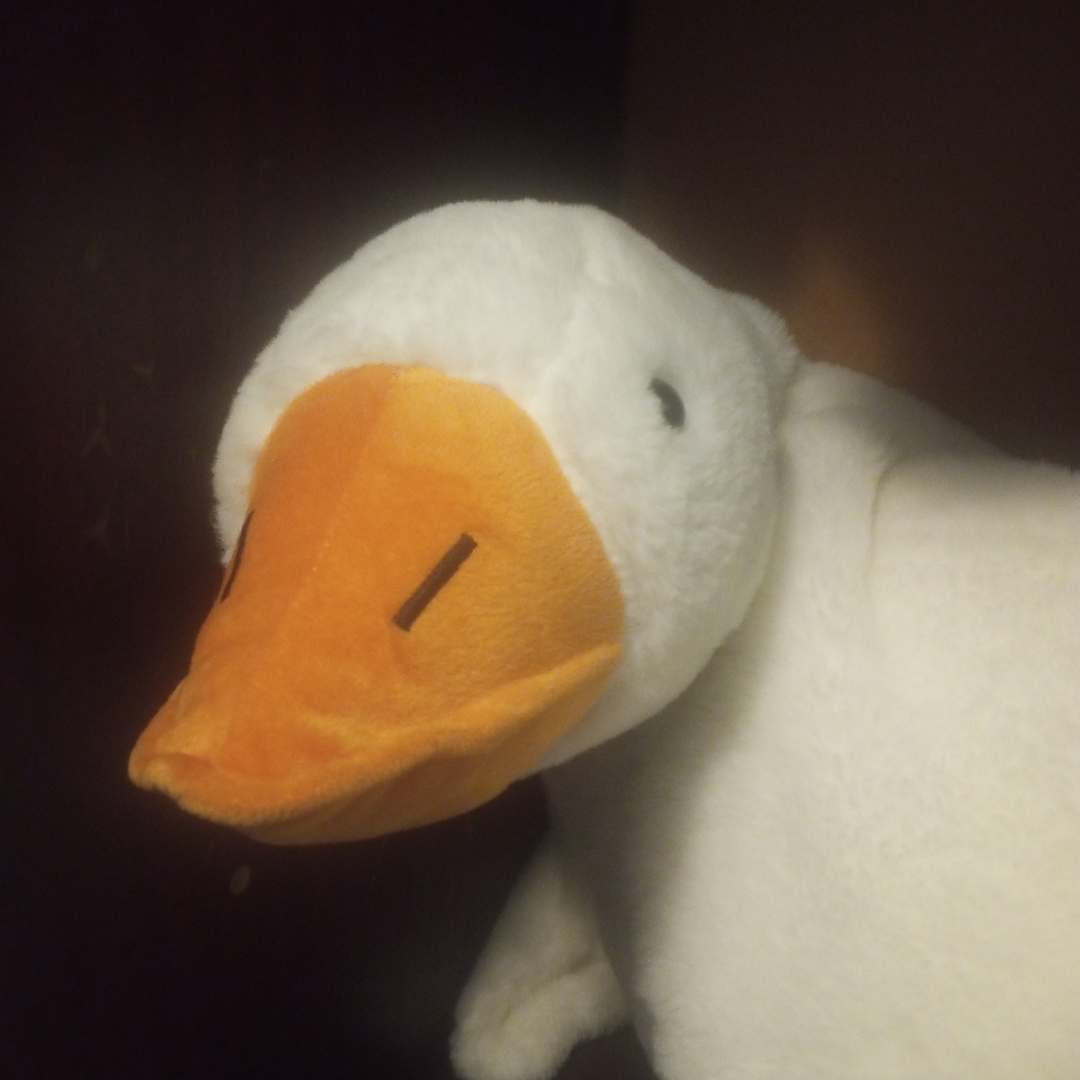 Фото - просто чтобы было, ибо нехорошо статье быть без иллюстрации. 