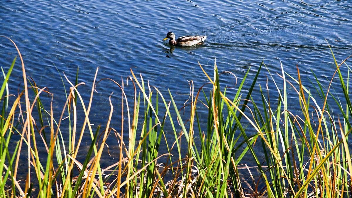    Фото: Сергей Ведяшкин / АГН Москва