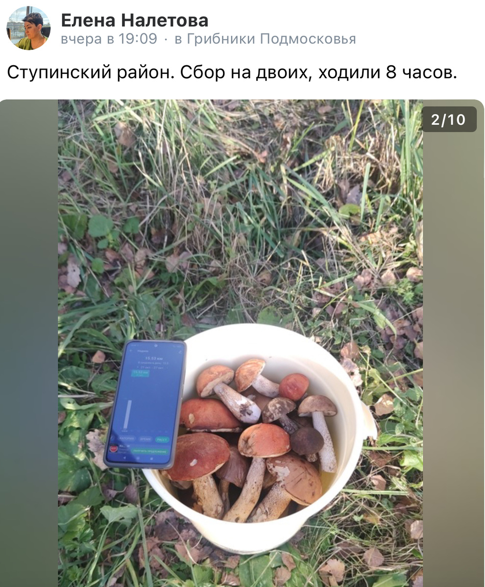 Сборы за 20 октября