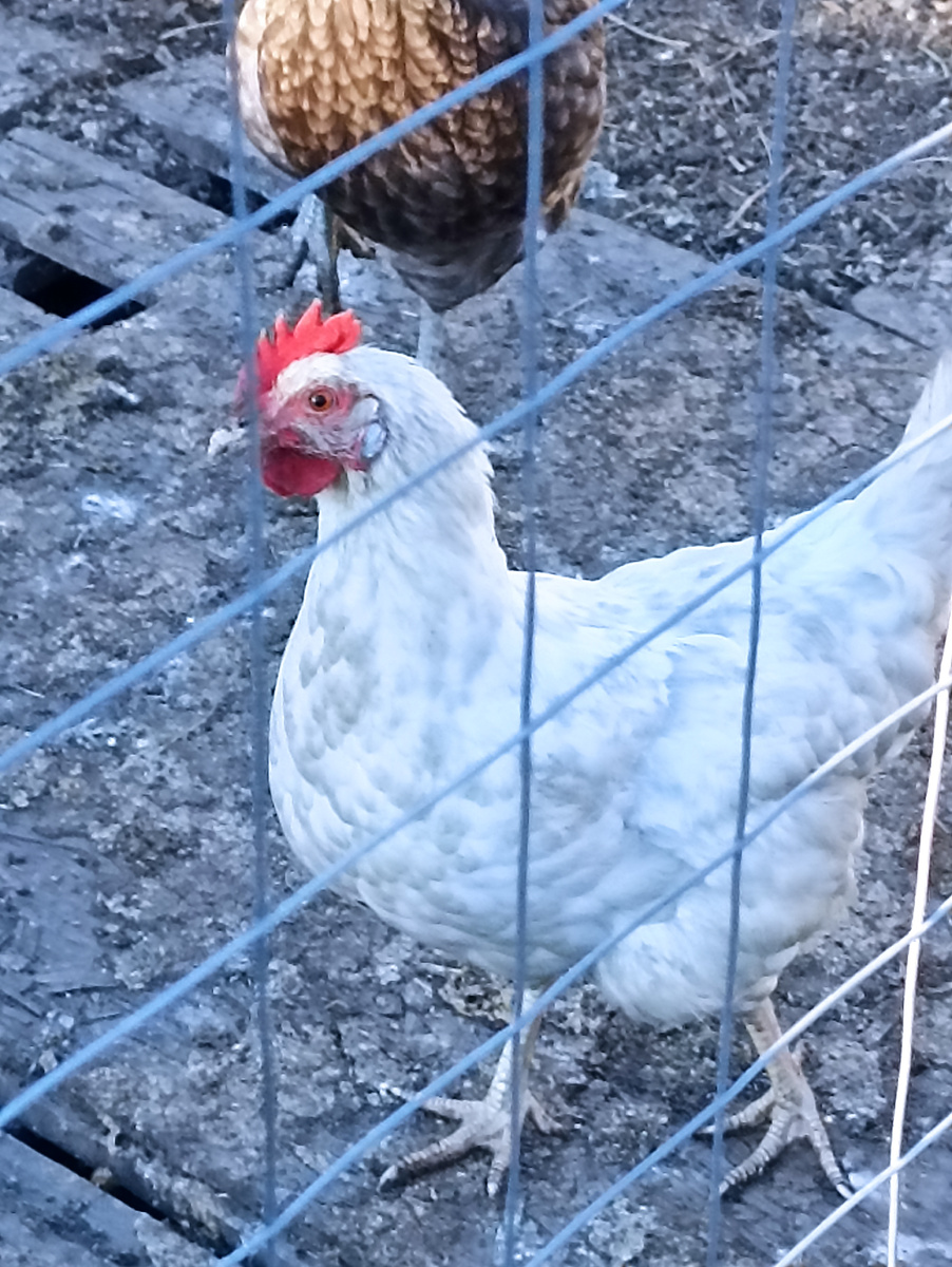 Героиня статьи 