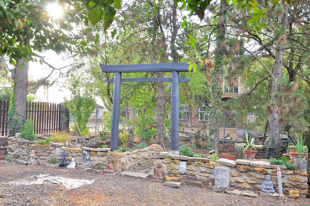 Забор на заднем фоне пока прозрачный, будем делать пергоны и сажать плющ. 