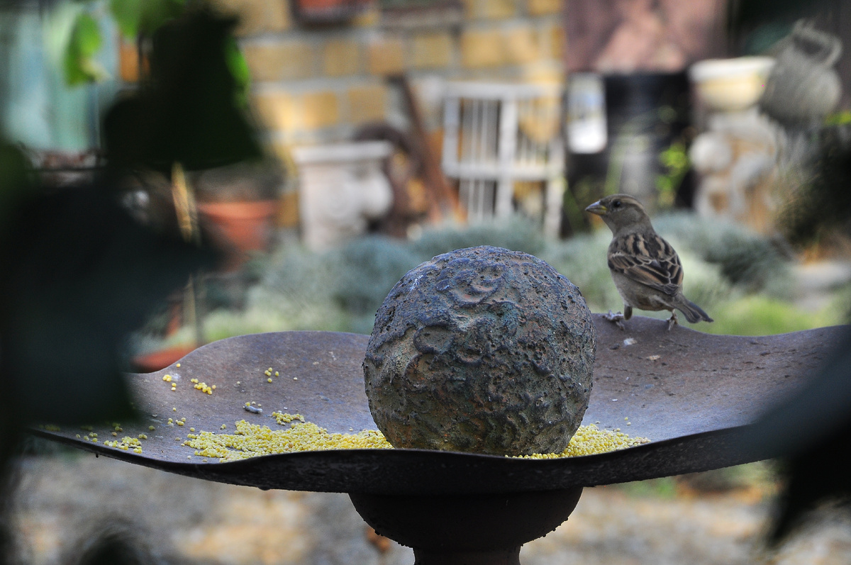 В зоне кантри и прованс все тоже обросло и наполнилось уютом