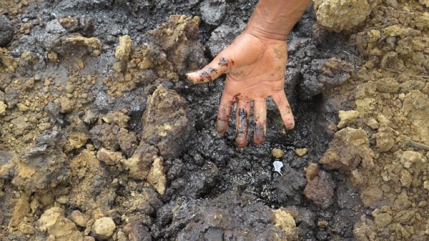 Почва, загрязненная нефтью (для иллюстрации). Источник фото: Яндекс картинки