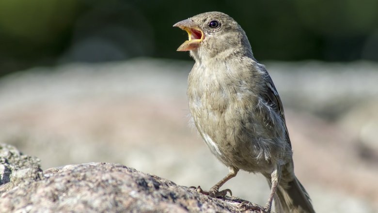 Источник: Freepik