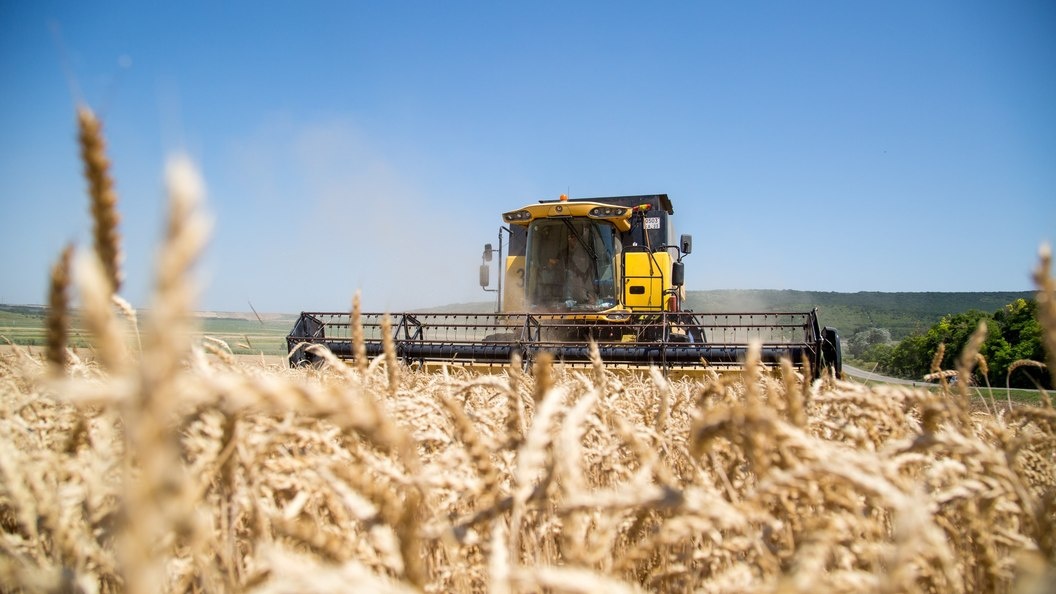    Фото: пресс-служба администрации муниципального образования город-курорт Анапа