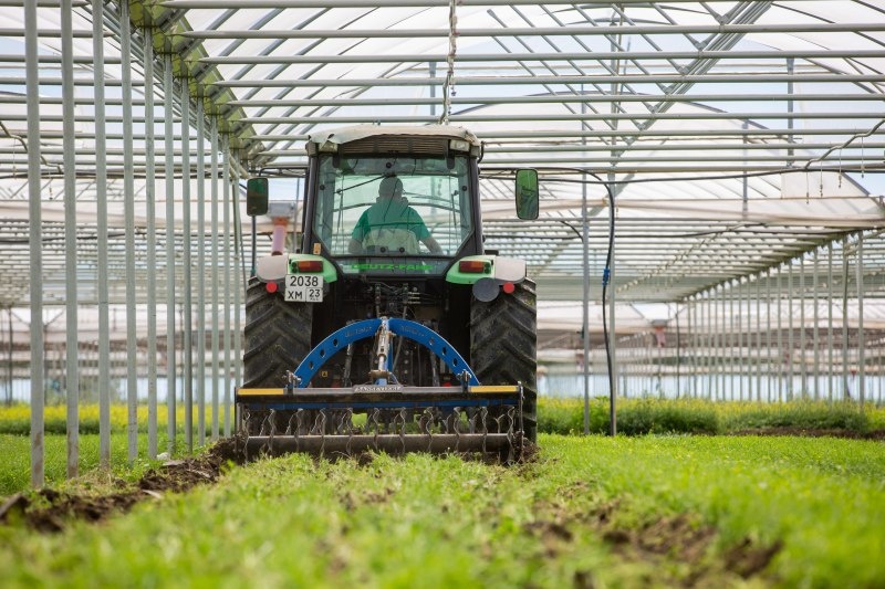    Фото: пресс-служба администрации муниципального образования город-курорт Анапа