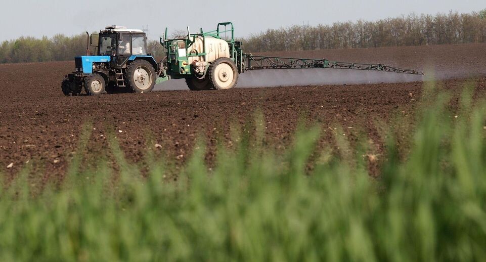    РИА «Новости»