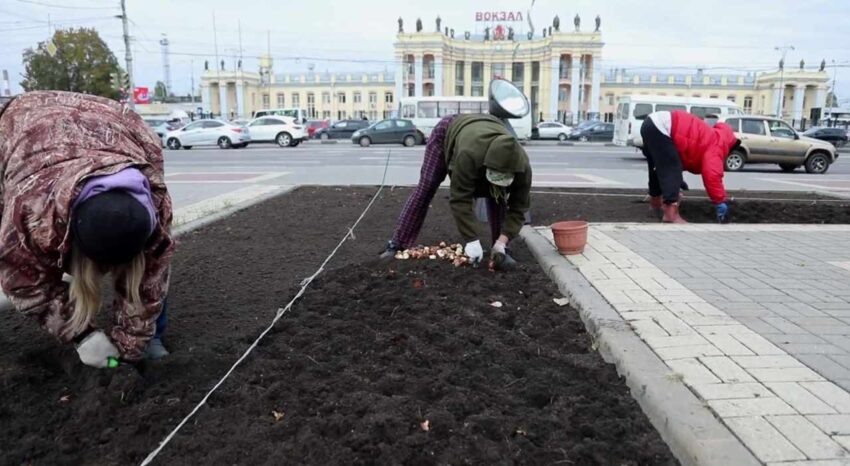   Скриншот видео мэрии Воронежа.